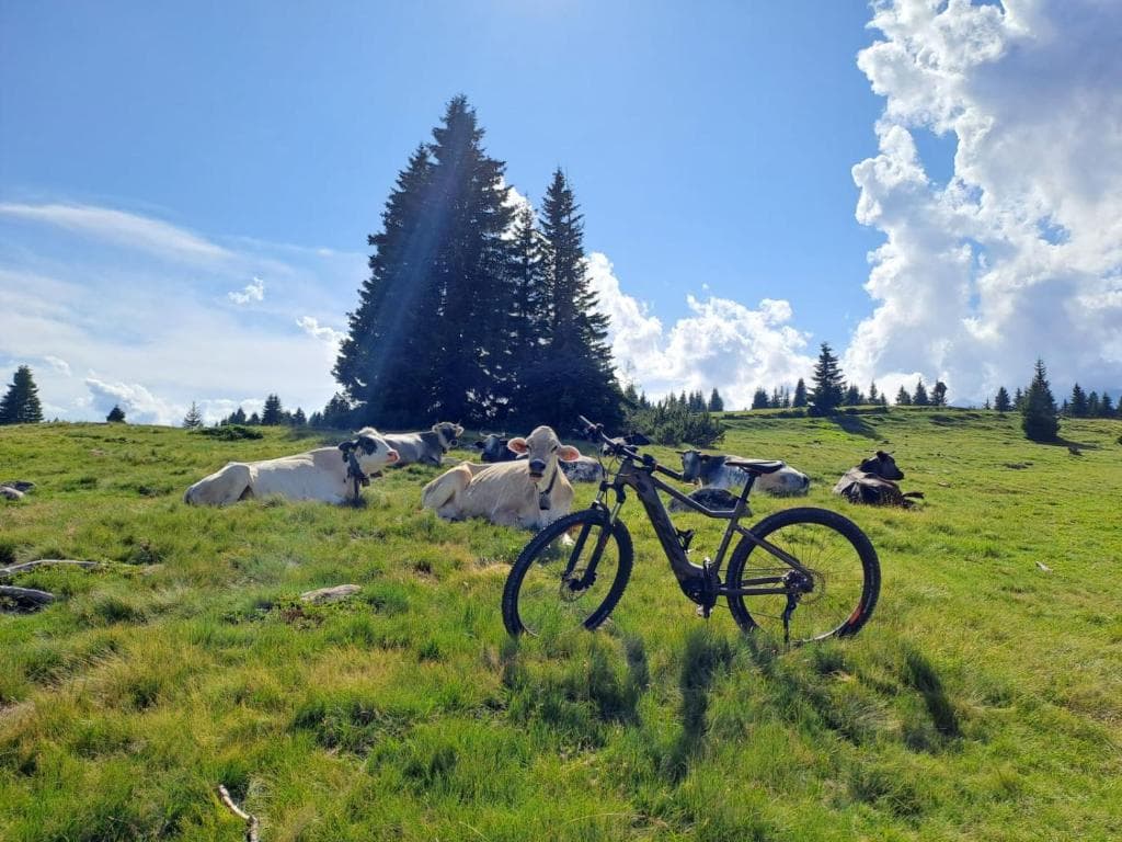 Spazi immersi nel verde